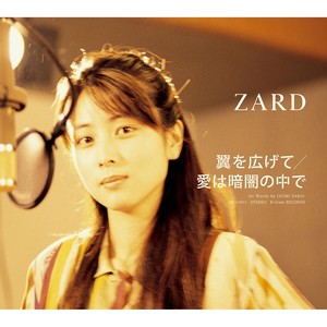 翼を広げて (展开双翼 张开翅膀)