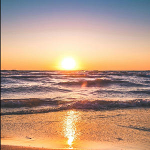 Where i been (Explicit)