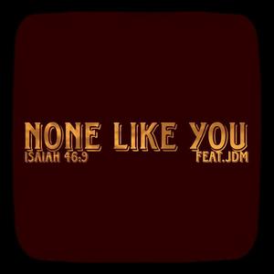 None Like You (feat. JDM)