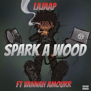 Spark A Wood (feat. Vannah Amourr) (Explicit)