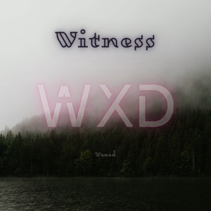 Witness