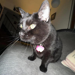 Rayk - Walt and Jesse (Explicit)