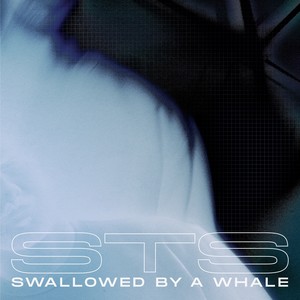 Swallowed By A Whale