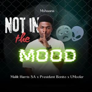 Not In The Mood (feat. Malik Harris SA, President Bonito & Umooler)