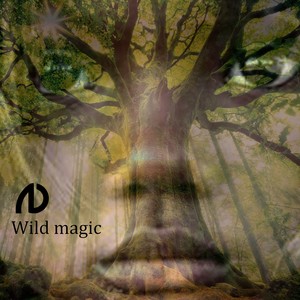 Wild Magic