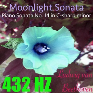 Beethoven: Piano Sonata No. 14, Op. 27 No. 2, Extract (Binaural Piano Version)