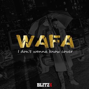 Wafa - I Don't Wana Know (Explicit)