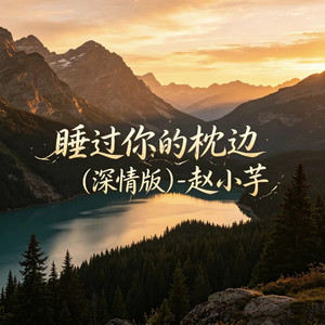 睡过你的枕边 (深情版)