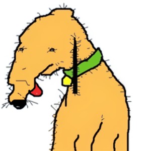 PREMATURE EJACULATION (Explicit)