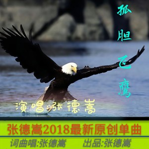 孤胆飞鹰 (伴奏)