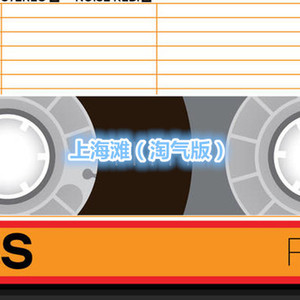 黑 蝙 蝠 中 队 (淘气版)