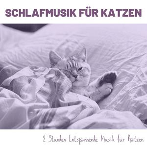 Schlafmusik für Katzen: 2 Stunden Entspannende Musik für Katzen