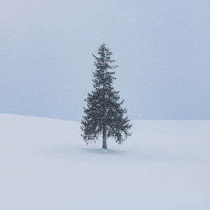 나와, 크리스마스(Come out, Christmas)