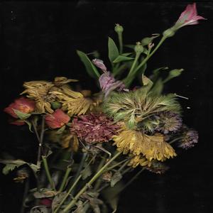 mausoleum (Explicit)