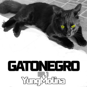 Gatonegro (Vitae Ii) (Explicit)
