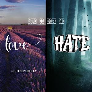 LOVE OR HATE ME
