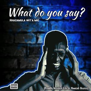 What do you say? (feat. Kritikal Life & Montag Beatzz) [Explicit]