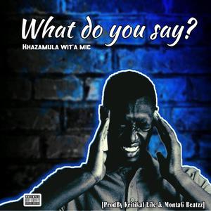 What do you say? (feat. Kritikal Life & Montag Beatzz) (Explicit)