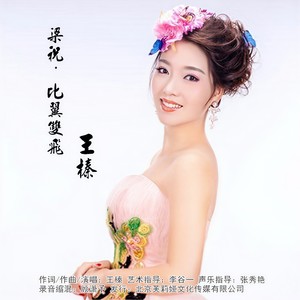 王榛 - 梁祝·比翼双飞