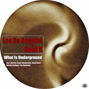What Is Underground (Blaq Bone Bushy 1121 Dub Mix)