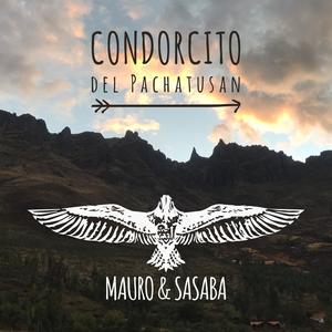 Condorcito del Pachatusan