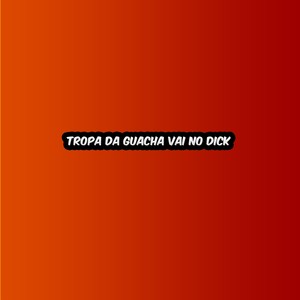 Tropa da Guacha vai no Dick (Explicit)
