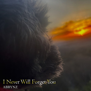 I Never Will Forget You