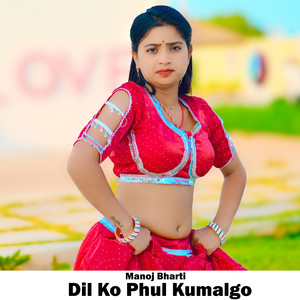 Dil Ko Phul Kumalgo