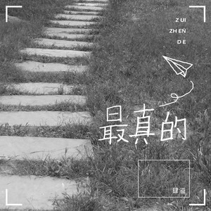 最真的 (轻伤版)