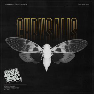 Immortal (Stick Fat) (Explicit)