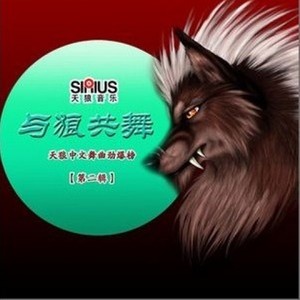 桃花运 (DJ小鱼儿版)封面