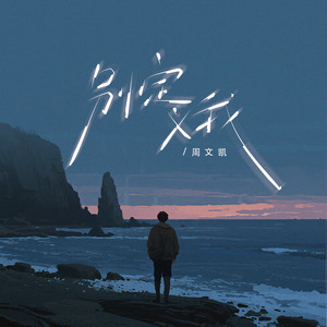 周文凯 - 别定义我