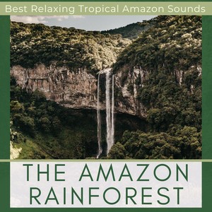 The Amazon Rainforest - Best Relaxing Tropical Amazon Sounds, Saving Earth