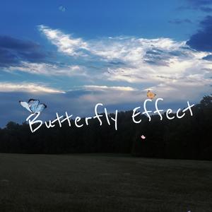 Butterfly Effect