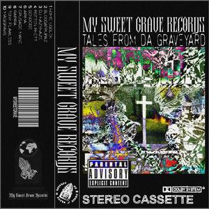 BULL TERRIER (Explicit)