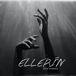 Ellerin