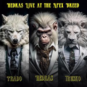 Hedras Live at The Apex Breed