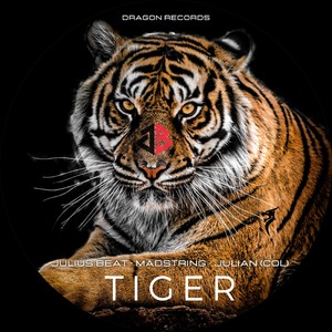 Tiger (Extended Mix)