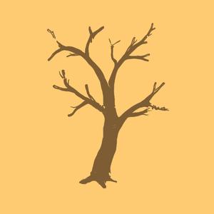 Never Ending Seasons