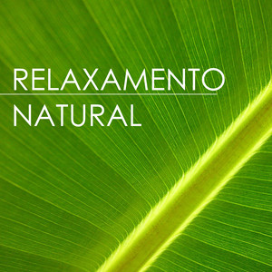 Relaxamento Natural - Sons da Natureza para Sessões de Yoga Meditação