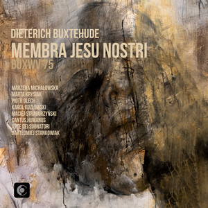 Membra Jesu Nostri, BuxWV 75 - III Ad manus: Aria