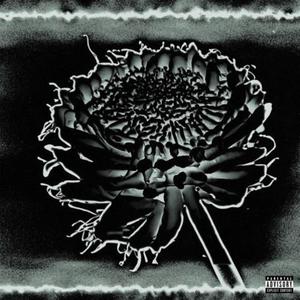 That one song (Remix|Explicit)