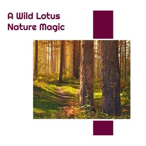 Deceiving Rain Sound