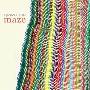 Maze (迷宫)