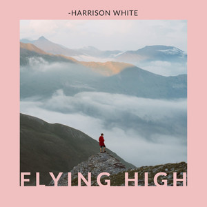 Flying High