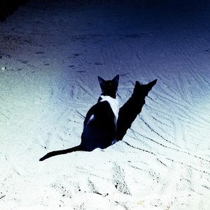 宗教に犯されているのではないか。