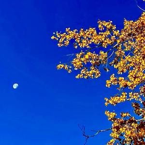 Summertime Feeling(feat. Mobeats) (Explicit)