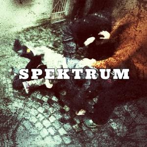 SPEKTRUM (feat. ONDRA) [Explicit]