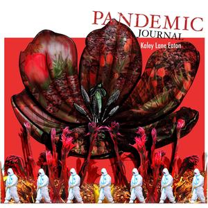 Pandemic Journal