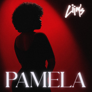 PAMELA (Explicit)